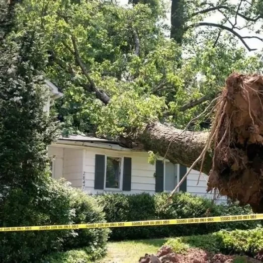 Storm & Wind Damage Repair Services in North Nashville, TN